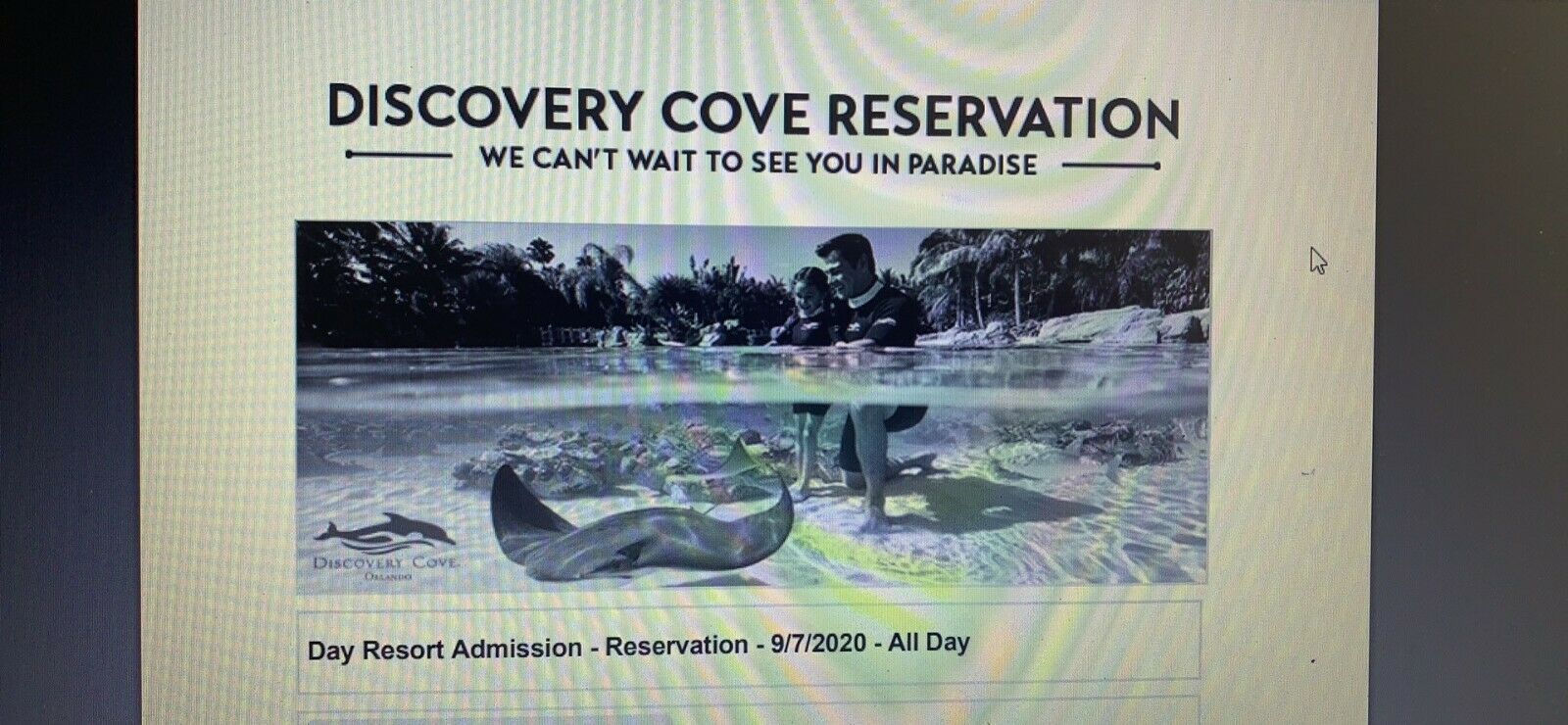 Two Tickets To Discover Cove In Orlando - Admission Date 09/07/2020