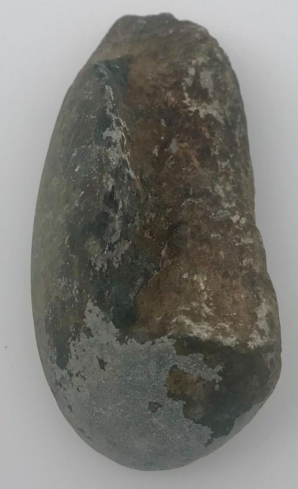 Unidentified Prehistoric Possible Reptile Fossil Fossilized Egg