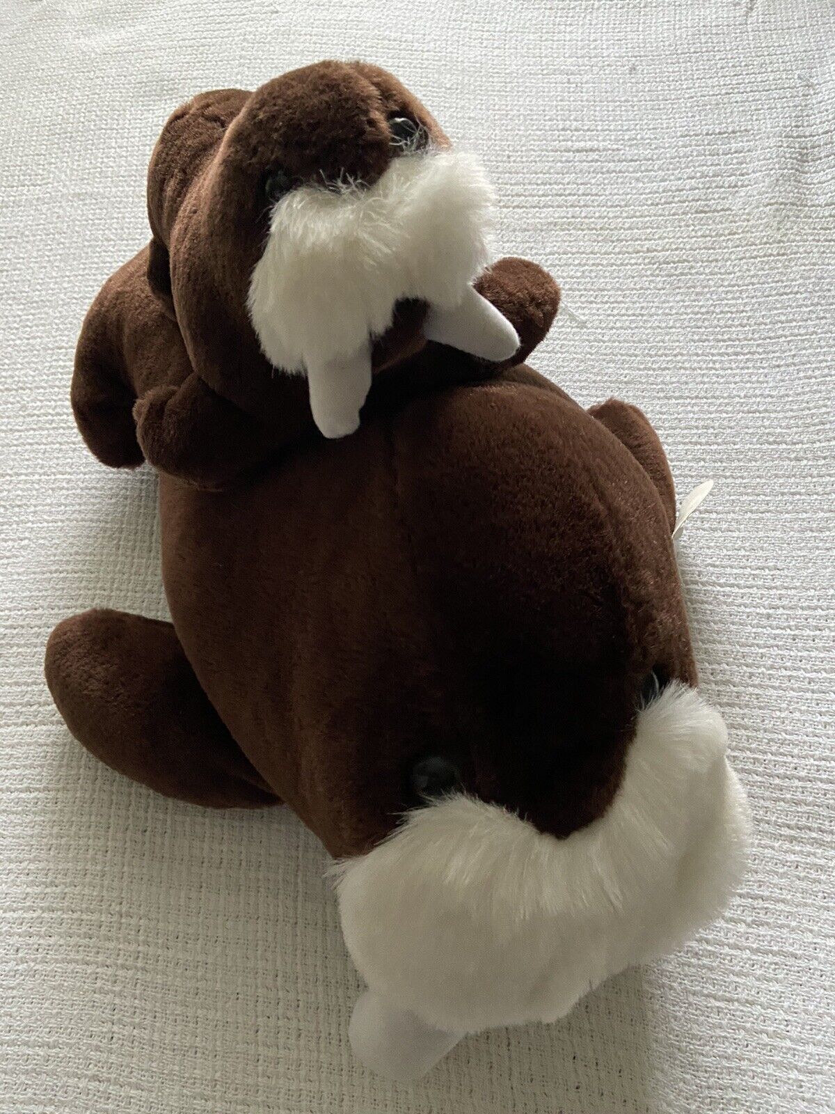 Sea World Brown White  18 " Walrus With Baby And Paper Hang Tag Euc