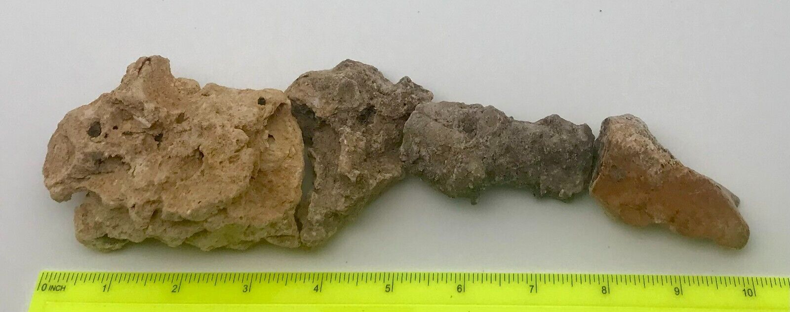 Unidentified Possible Pliosaur Or Similar Reptile Fossil Appendage/fin/finger