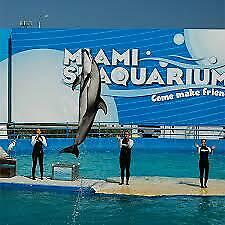 2 Miami Seaquarium Admission Tickets+"dolphin Odyssey" 90 Min. Interaction/swim!